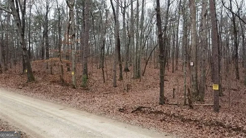 0 Treat Mountain RD Cedartown, GA 30125