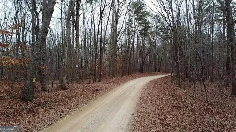 0 Treat Mountain RD Cedartown, GA 30125