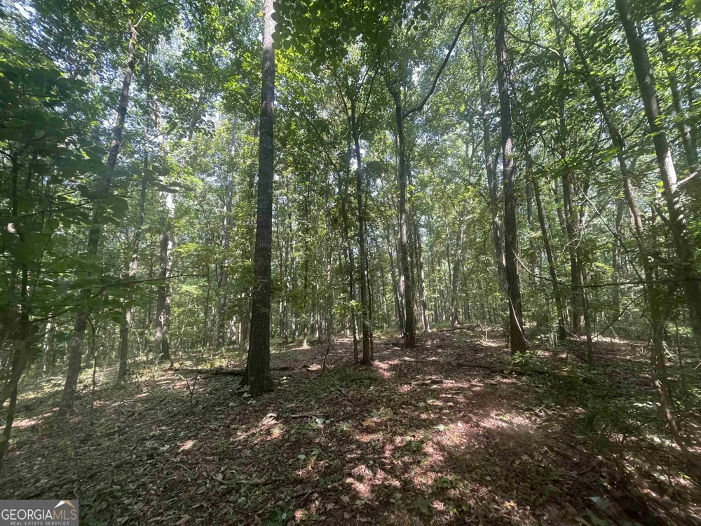 0 High Point TRL South Fulton, GA 30331