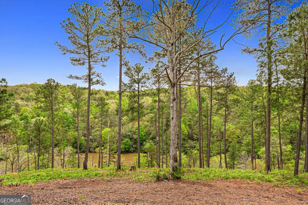 630 Human RD Bowman, GA 30624