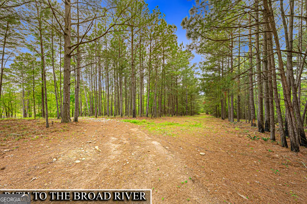 630 Human RD Bowman, GA 30624