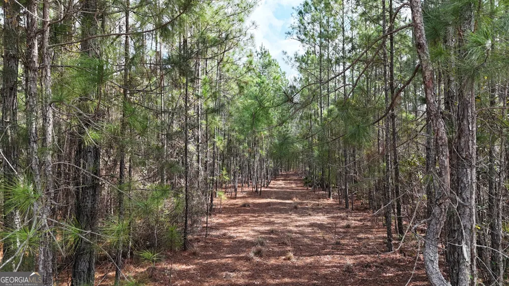 75 Lila LN Pembroke, GA 31321