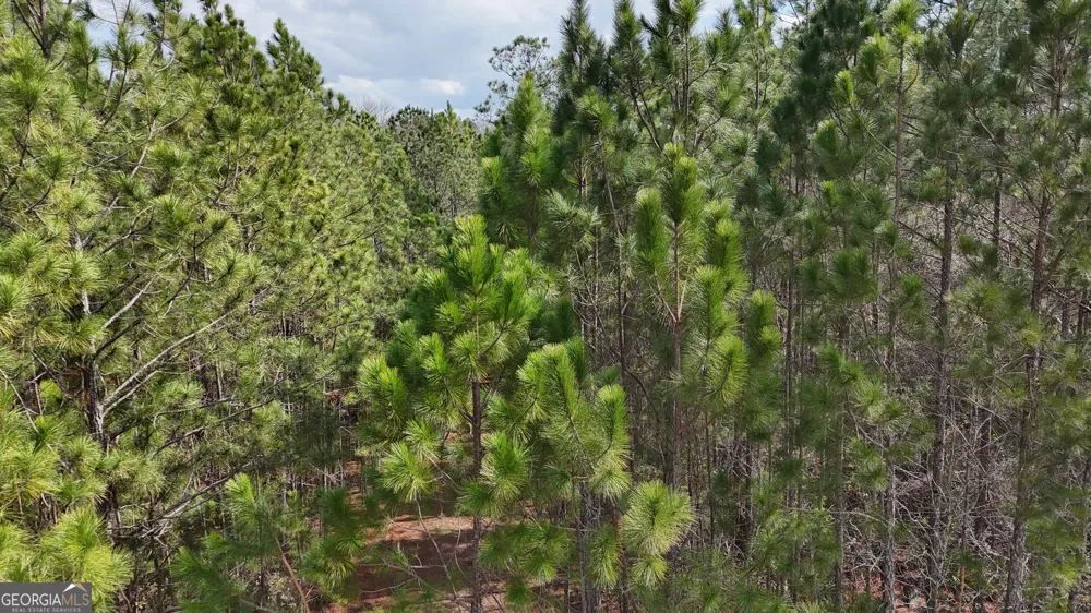 75 Lila LN Pembroke, GA 31321