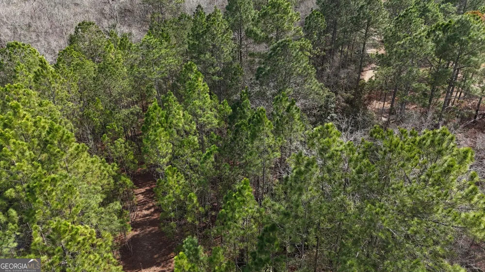 75 Lila LN Pembroke, GA 31321