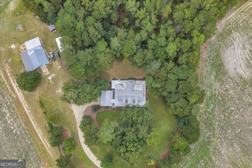 568 Hopewell Church RD Rhine, GA 31077