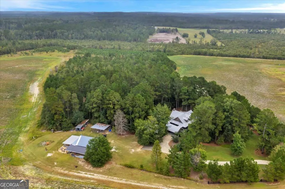 568 Hopewell Church RD Rhine, GA 31077
