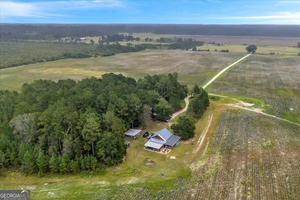 568 Hopewell Church RD Rhine, GA 31077