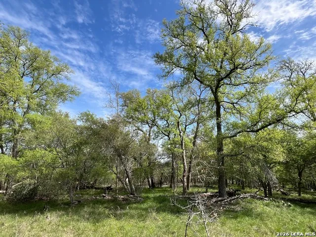 TBD Cunningham Dr Lockhart, TX 78644