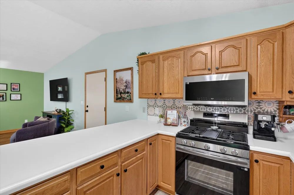 117 Charlotte Street Edmore, MI 48829