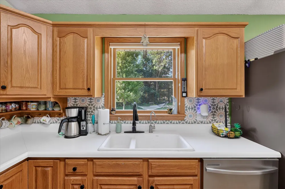 117 Charlotte Street Edmore, MI 48829