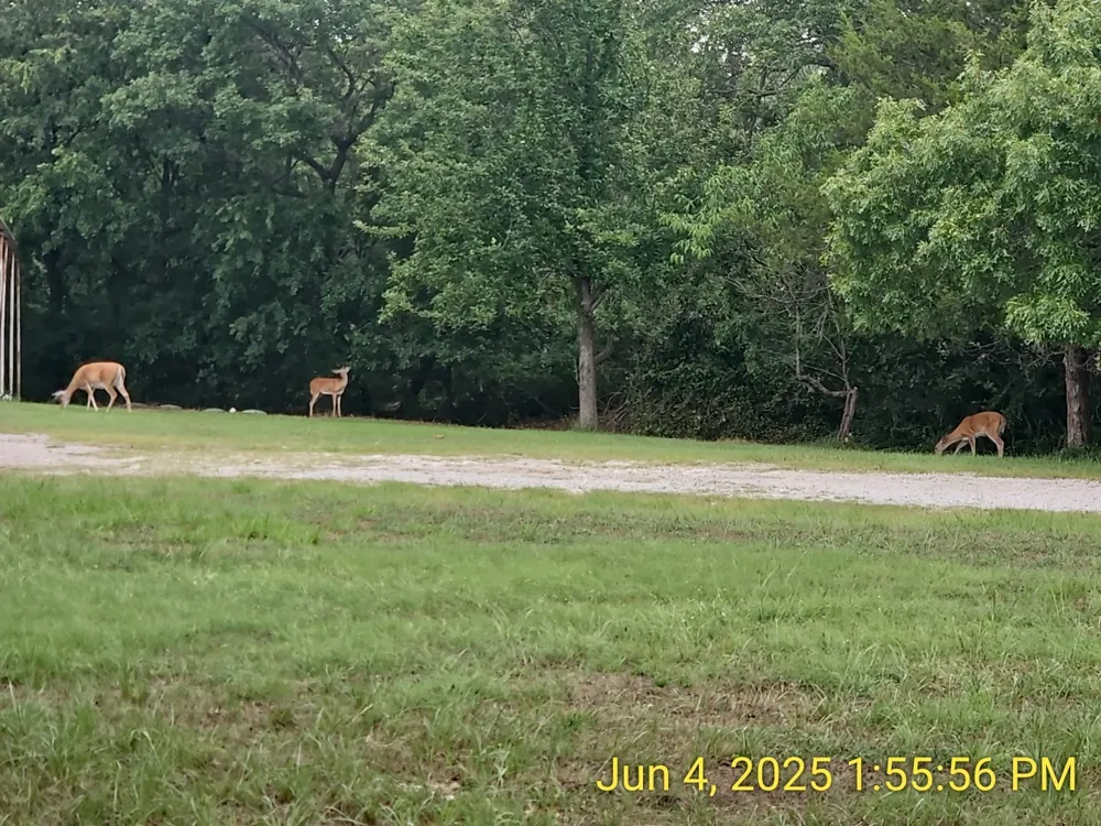 137 Oakview Road Gainesville, TX 76240