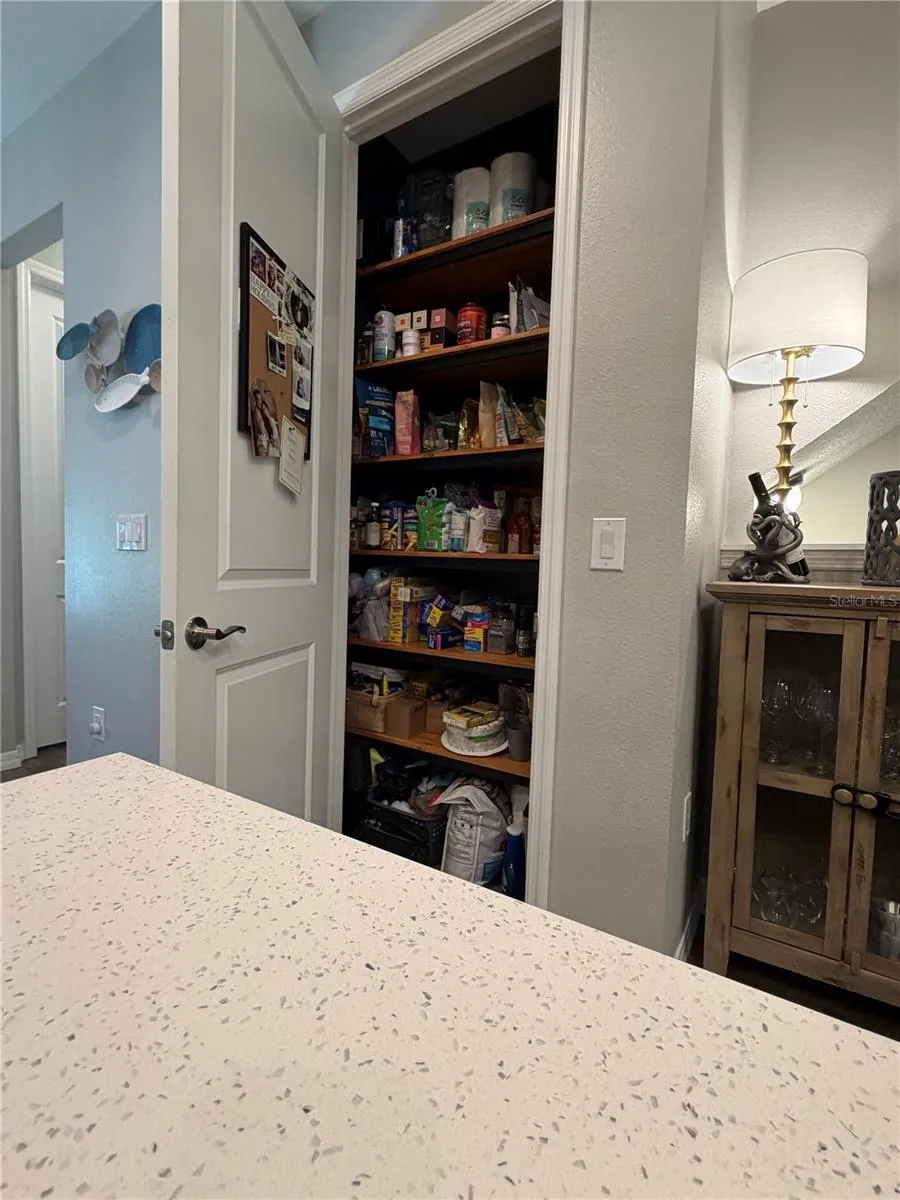 849 CALLISTA CAY LOOP Tarpon Springs, FL 34689