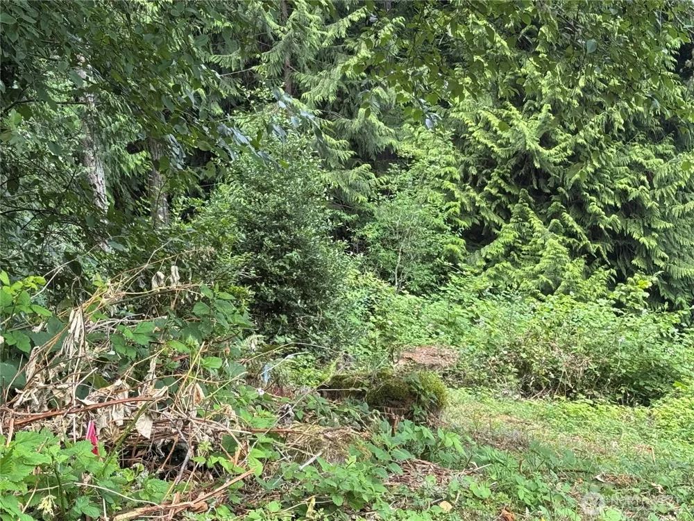 1234 NE 11th Avenue Poulsbo, WA 98370