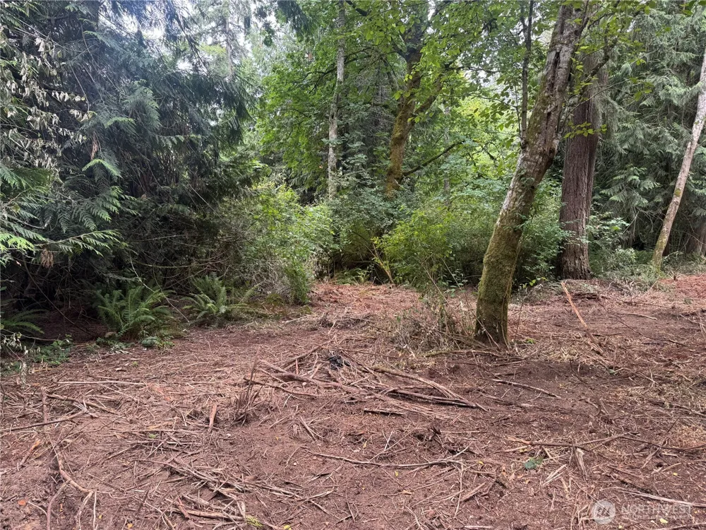 1234 NE 11th Avenue Poulsbo, WA 98370