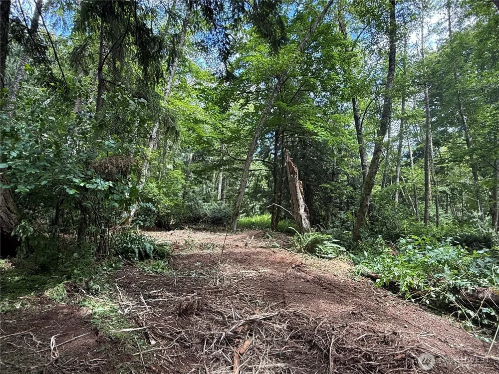 1234 NE 11th Avenue Poulsbo, WA 98370