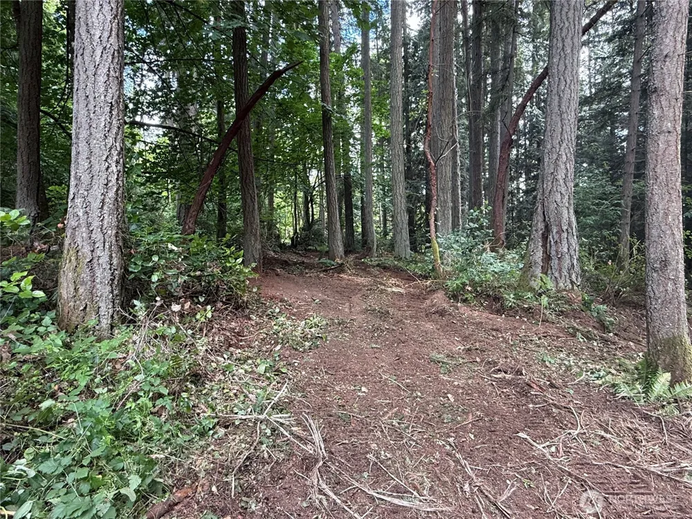 1234 NE 11th Avenue Poulsbo, WA 98370