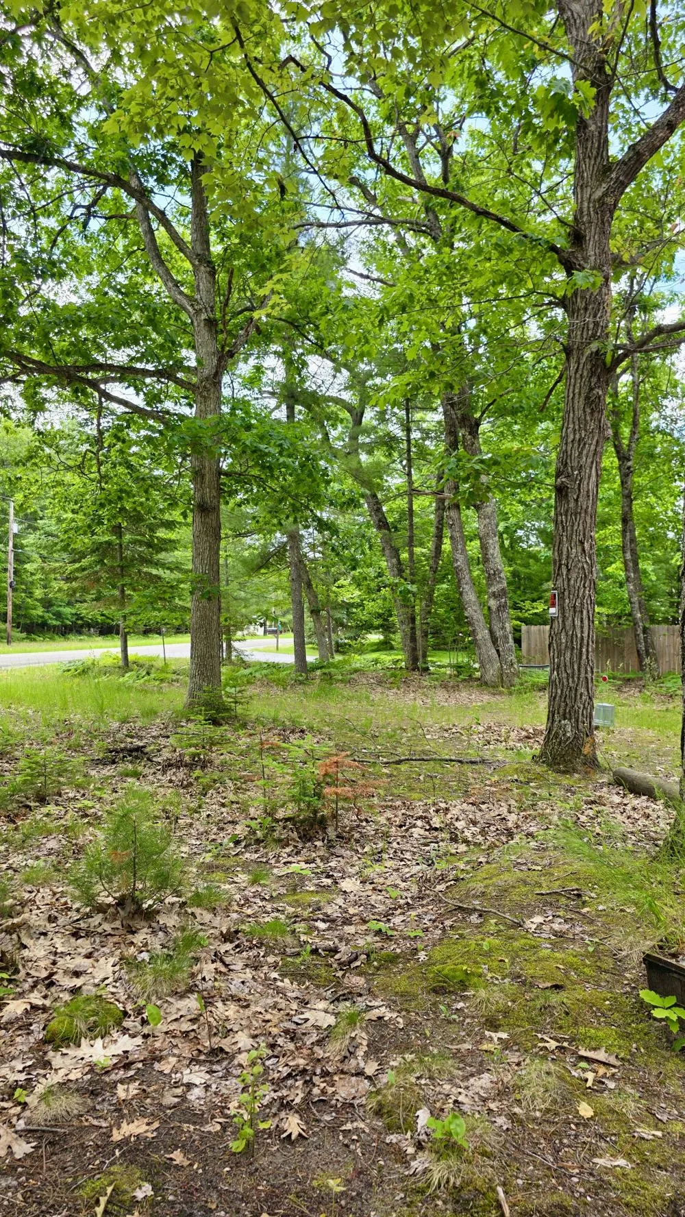Address Not Shown Indian River, MI 49749