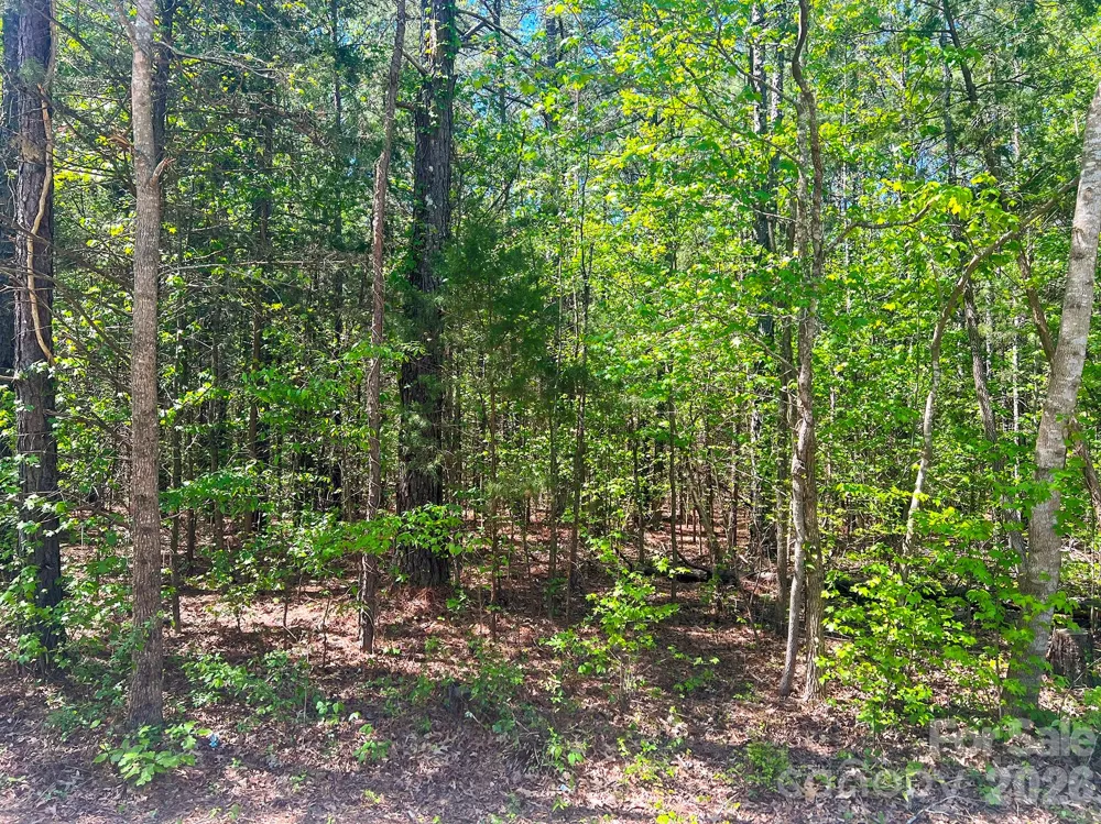 8320 Waxhaw Creek Road Waxhaw, NC 28173