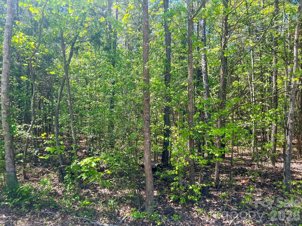 8320 Waxhaw Creek Road Waxhaw, NC 28173