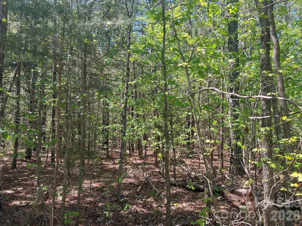 8320 Waxhaw Creek Road Waxhaw, NC 28173