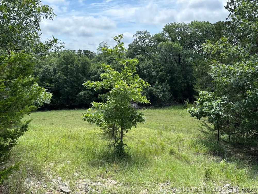 11185 E Gray Hill Milburn, OK 73450