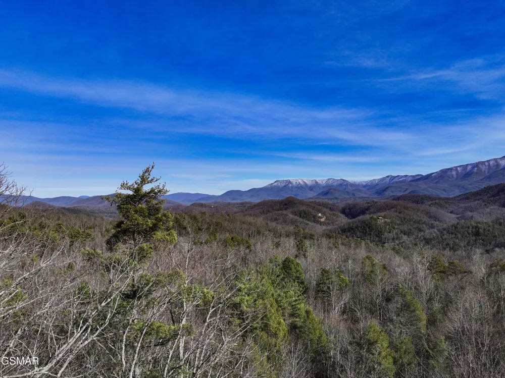0 Henry Town Road Sevierville, TN 37876