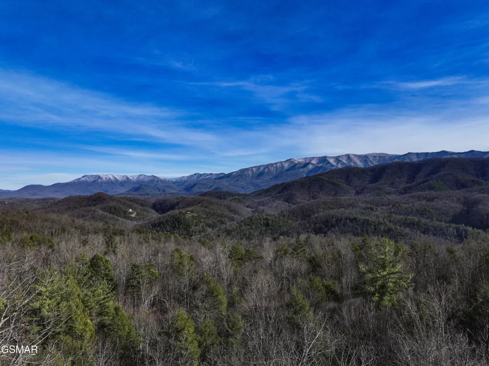 0 Henry Town Road Sevierville, TN 37876