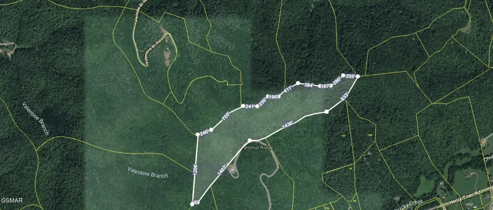 0 Henry Town Road Sevierville, TN 37876