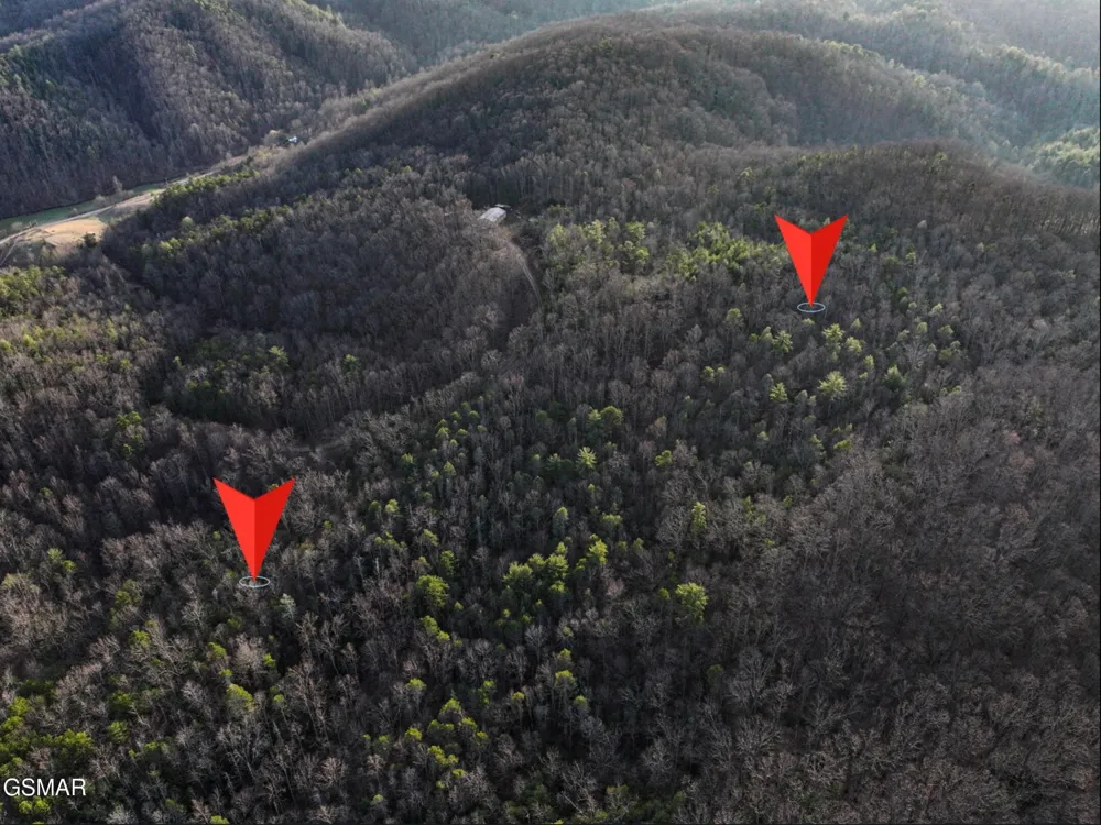0 Henry Town Road Sevierville, TN 37876