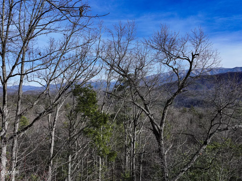 0 Henry Town Road Sevierville, TN 37876
