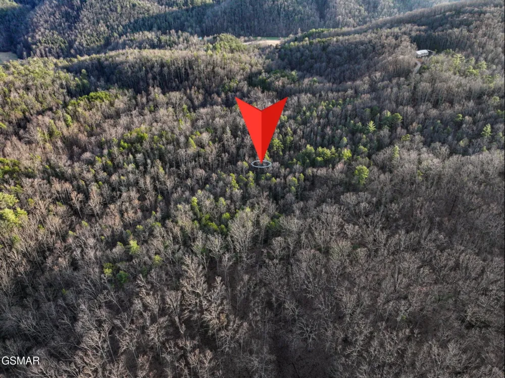 0 Henry Town Road Sevierville, TN 37876