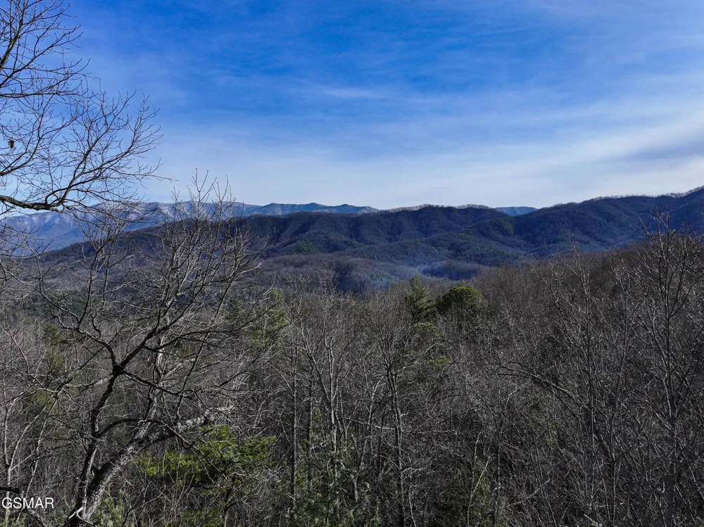 0 Henry Town Road Sevierville, TN 37876