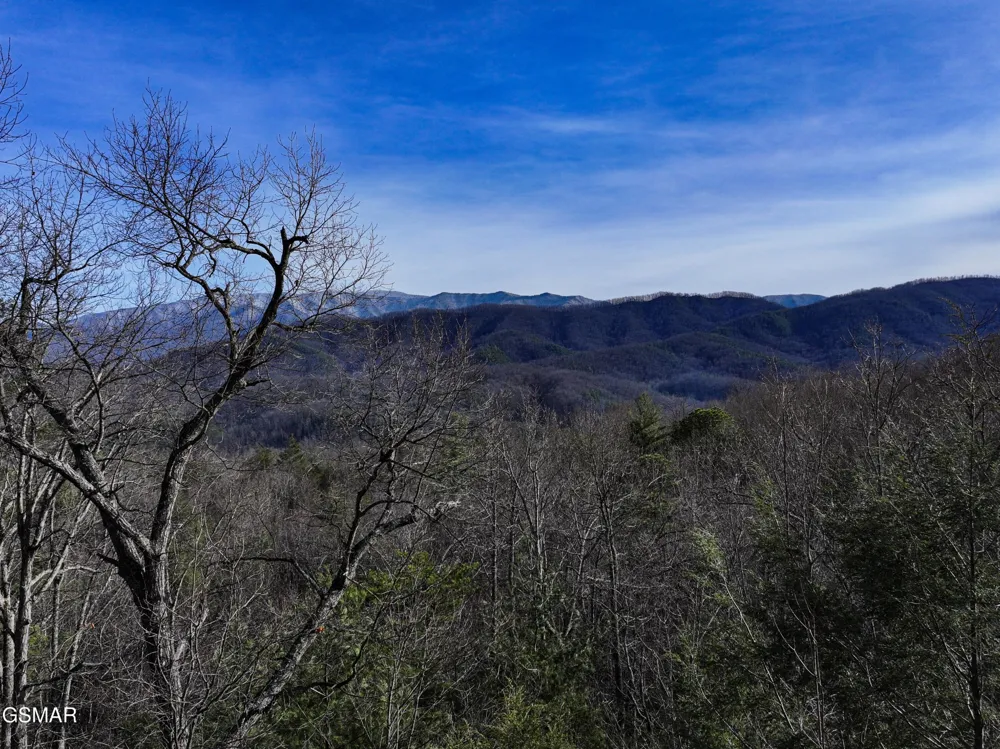0 Henry Town Road Sevierville, TN 37876