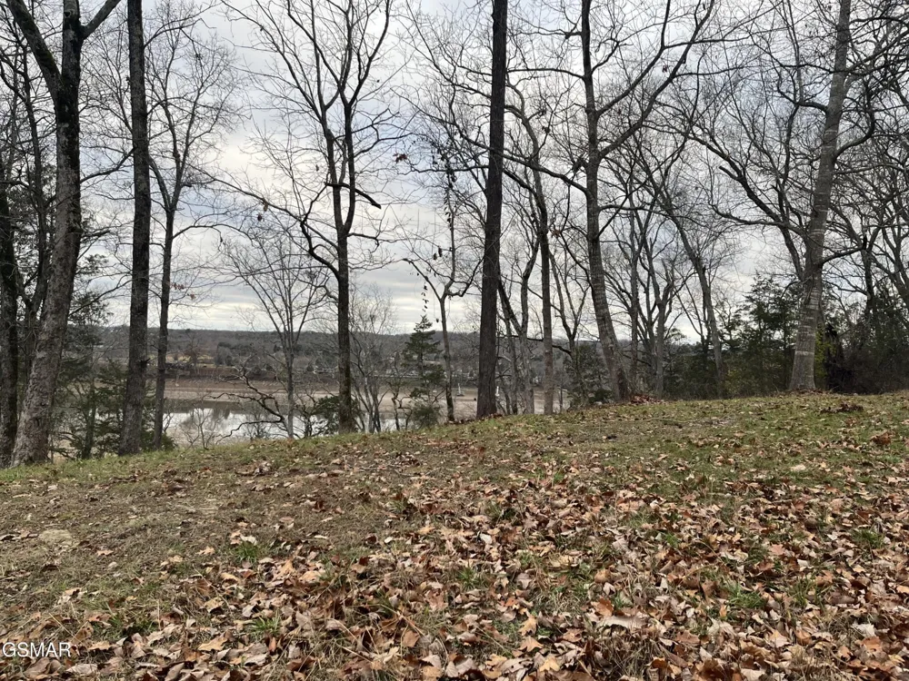 1516 Waterford Newport, TN 37821