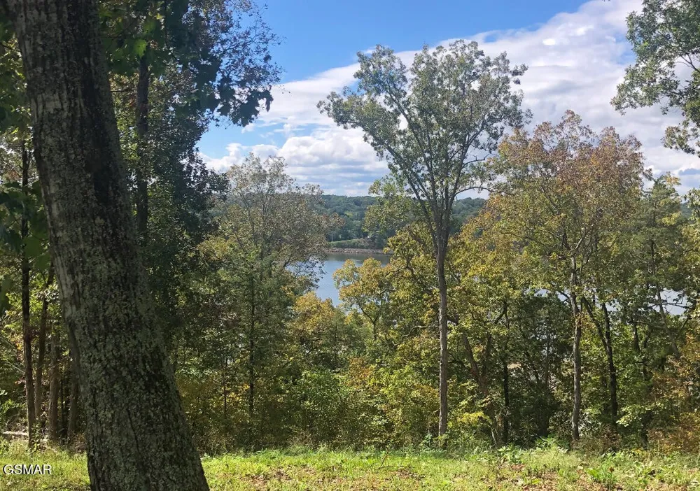 1516 Waterford Newport, TN 37821