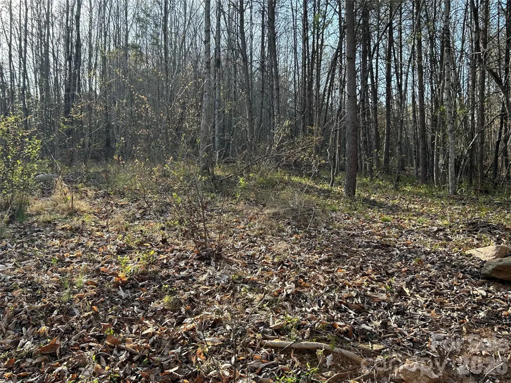 288 Coolbrook Road Union Grove, NC 28689