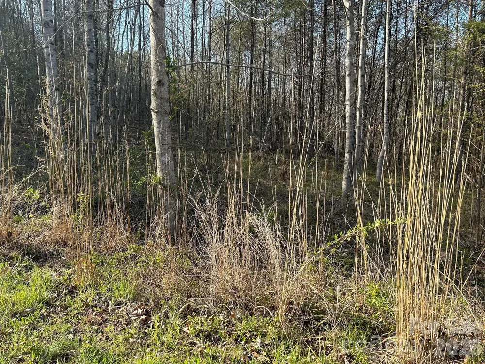 288 Coolbrook Road Union Grove, NC 28689