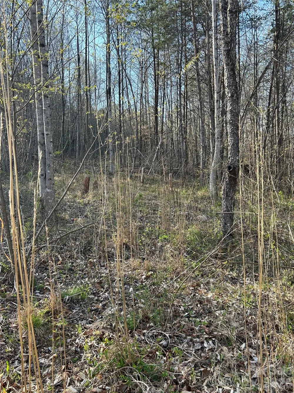 288 Coolbrook Road Union Grove, NC 28689