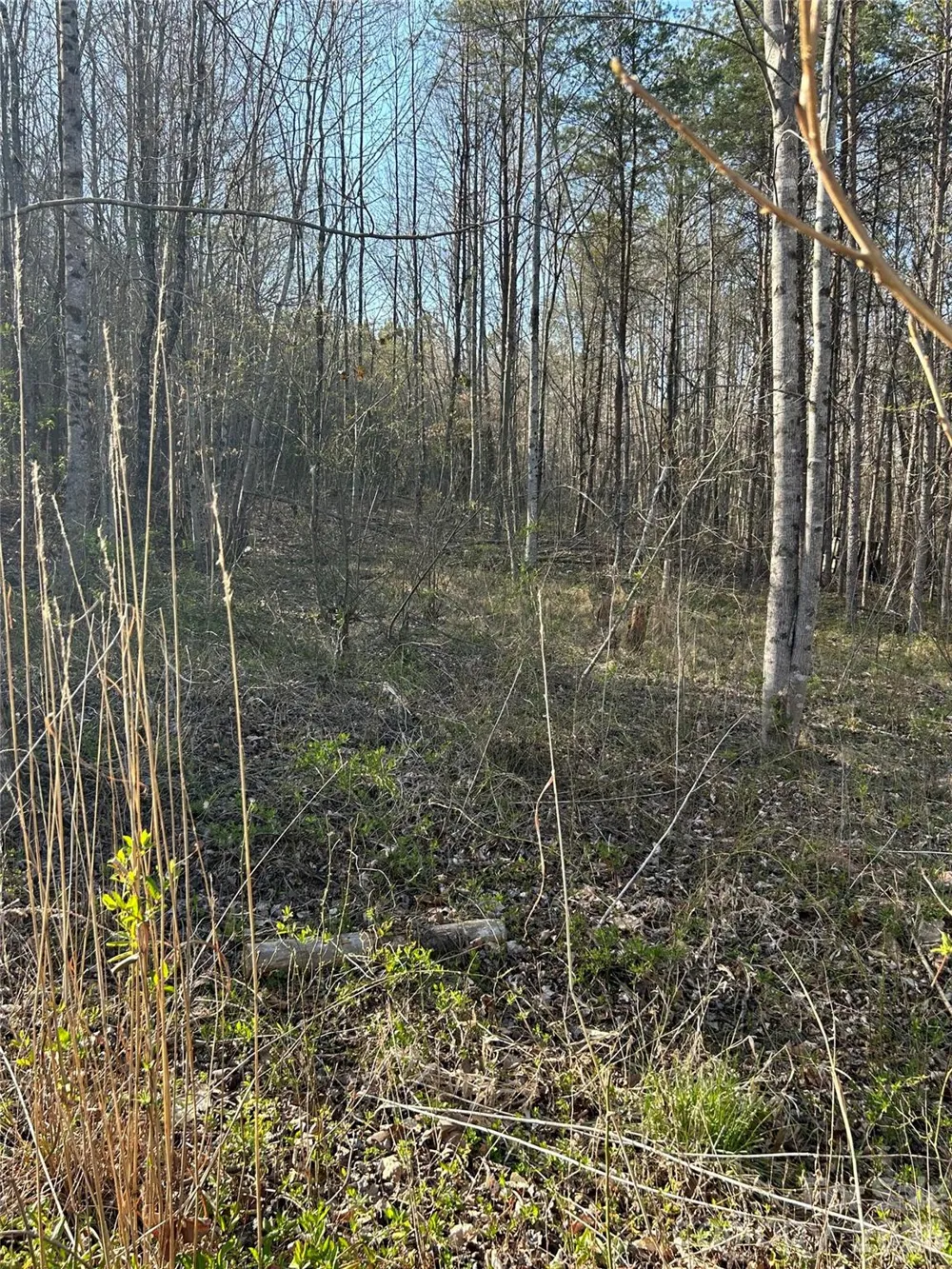 288 Coolbrook Road Union Grove, NC 28689