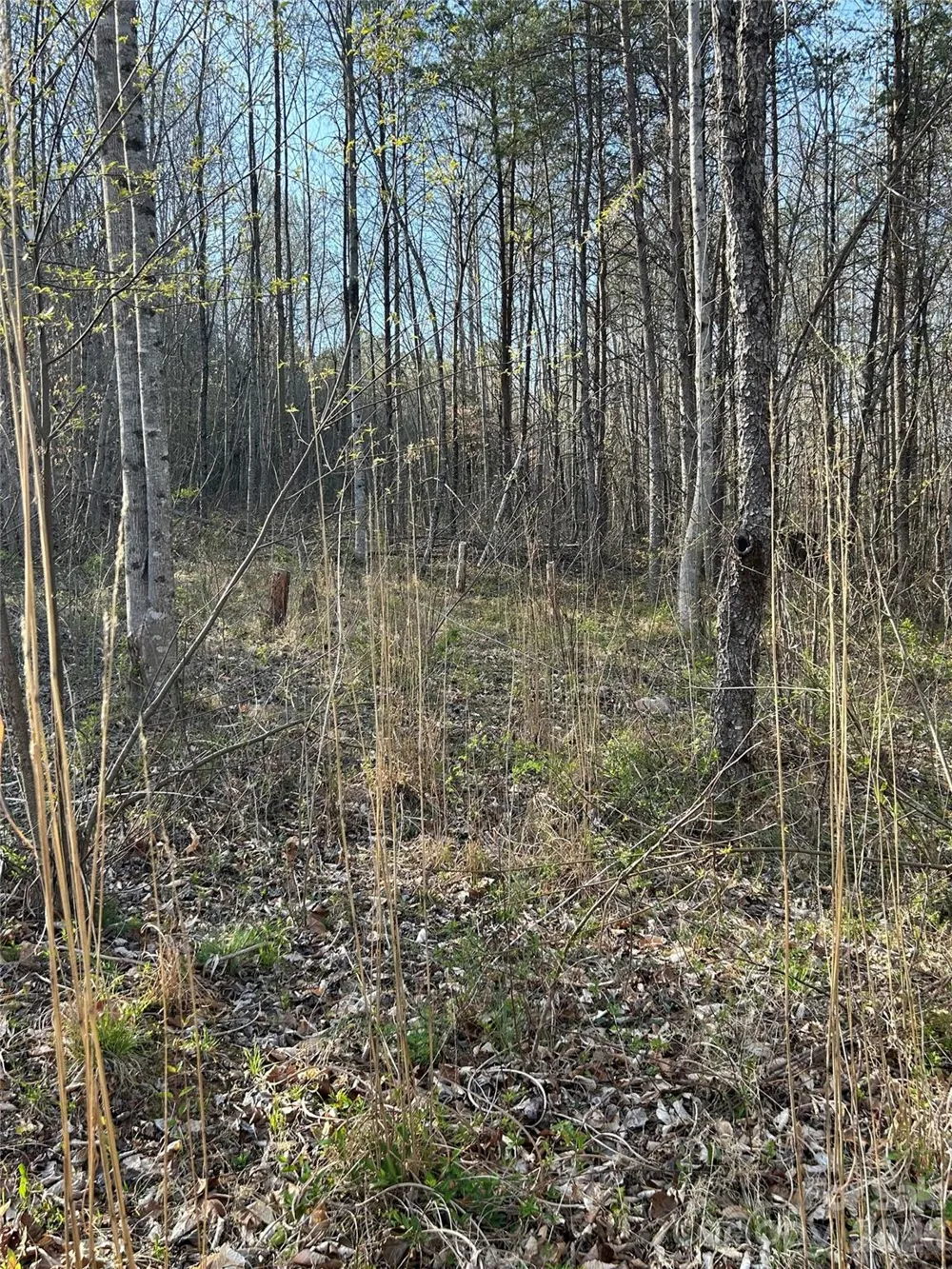 288 Coolbrook Road Union Grove, NC 28689