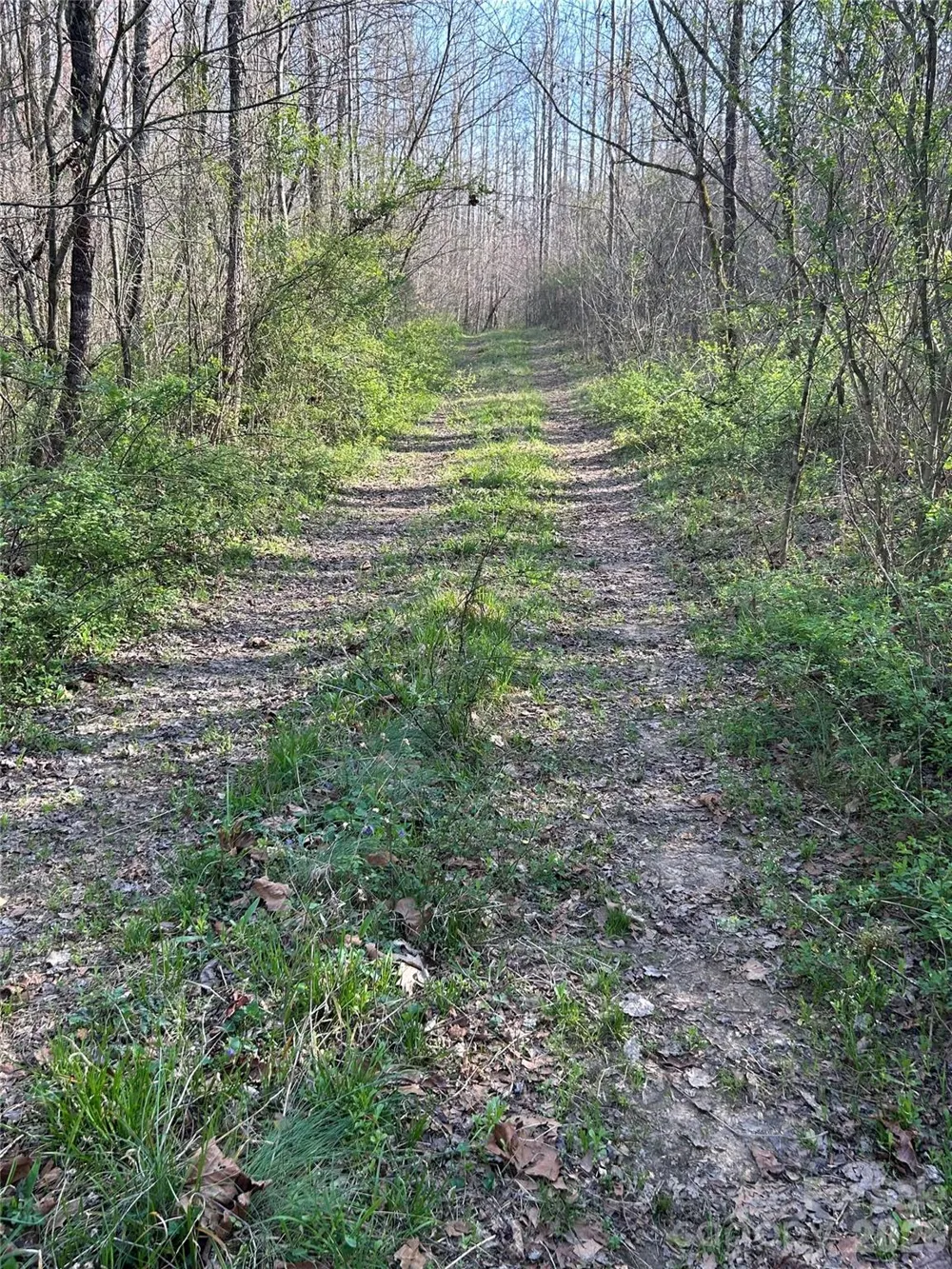 288 Coolbrook Road Union Grove, NC 28689
