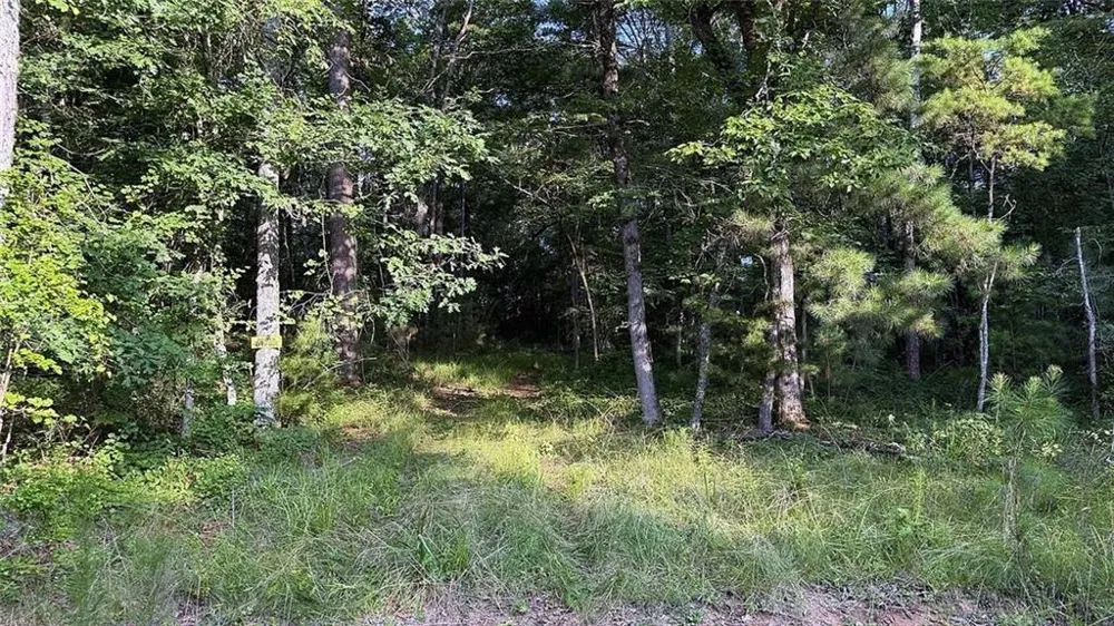 0 Highway 136 W Talking Rock, GA 30175