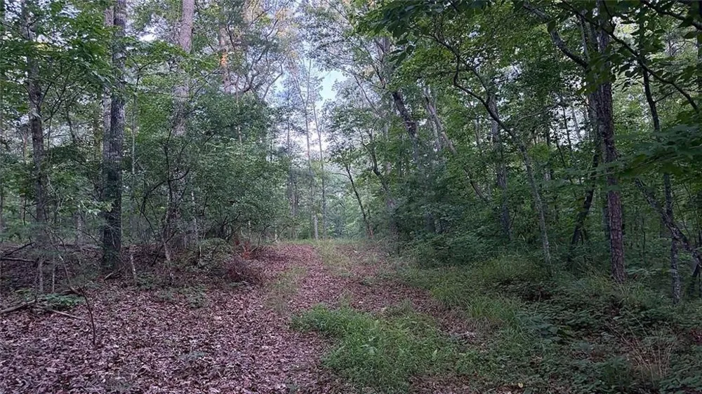 0 Highway 136 W Talking Rock, GA 30175