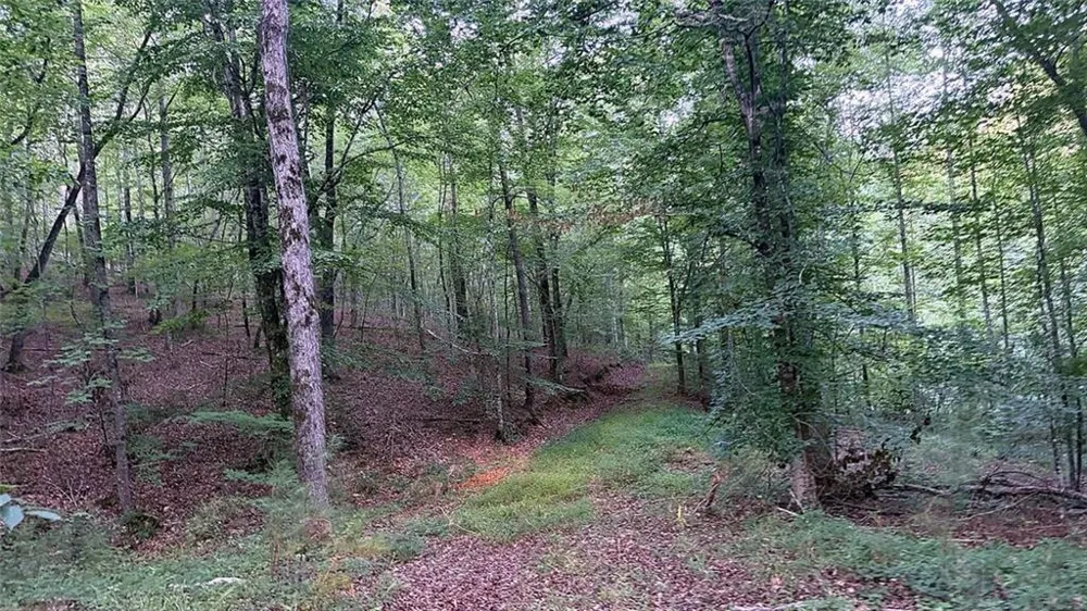 0 Highway 136 W Talking Rock, GA 30175