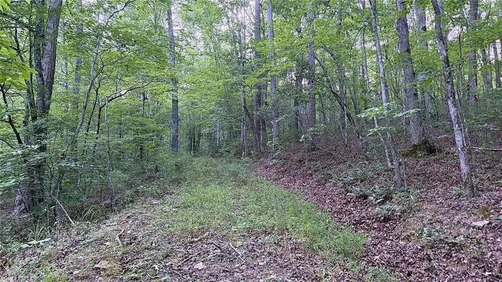 0 Highway 136 W Talking Rock, GA 30175