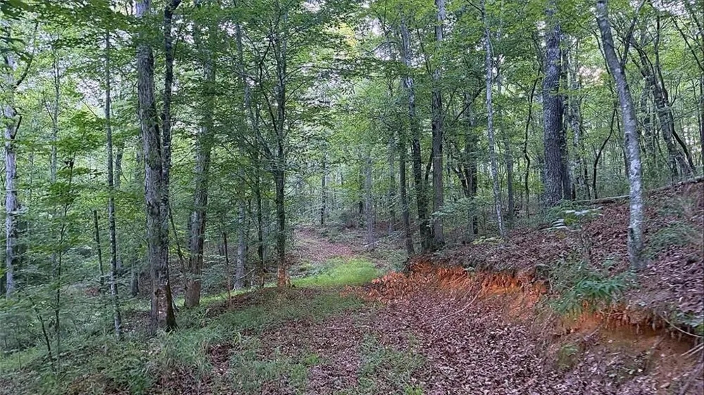 0 Highway 136 W Talking Rock, GA 30175
