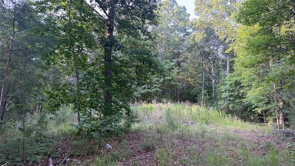 0 Highway 136 W Talking Rock, GA 30175
