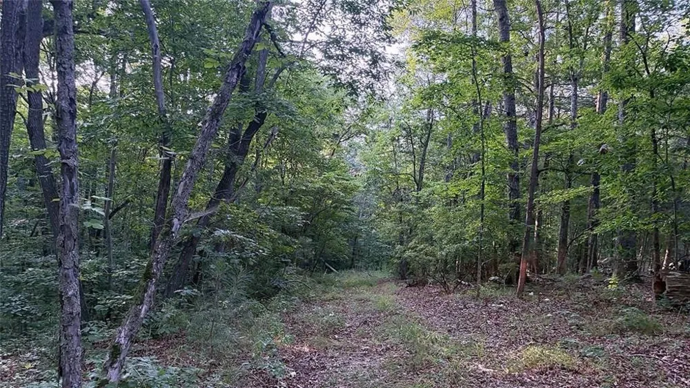 0 Highway 136 W Talking Rock, GA 30175