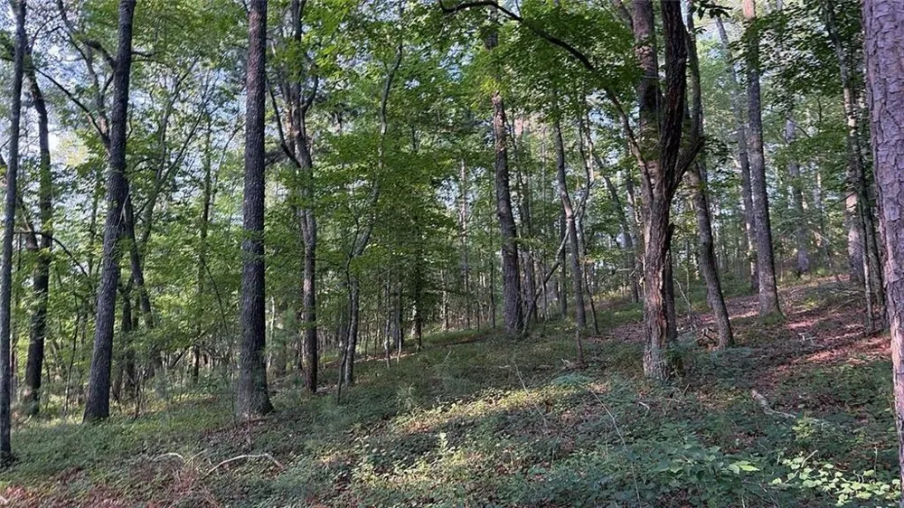 0 Highway 136 W Talking Rock, GA 30175