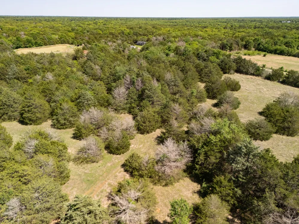 County Road 1134 Lone Oak, TX 75453
